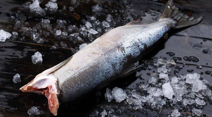 Охлаждённая тушка кеты Кета на льду