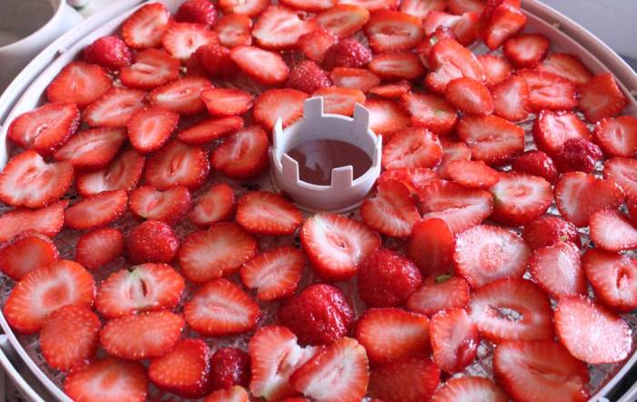 Сушка клубники в электросушилке Клубника в сушилке