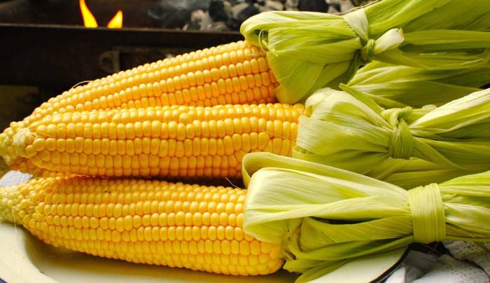 Початки сахарной кукурузы Кукуруза для жарки