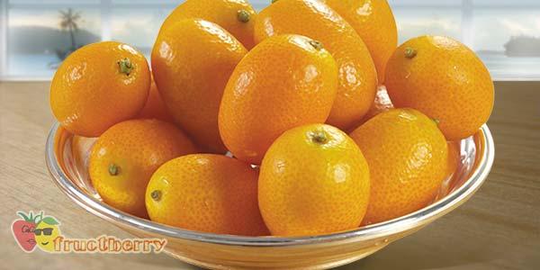 Кумкват-тарелка