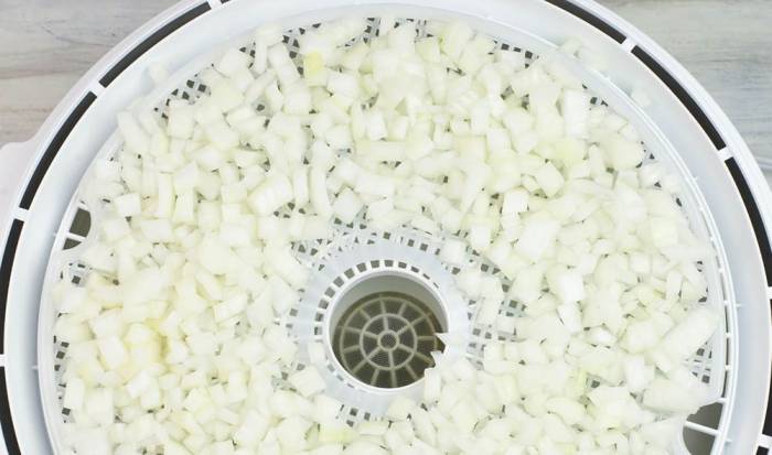 Выкладывание лука на решётку электросушилки Лук в сушилке