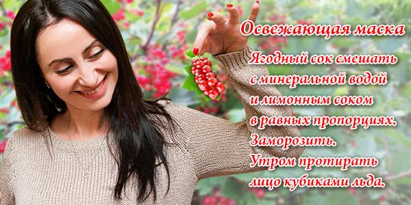 Маска из смородины