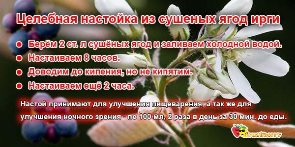 Настойка-для-зрения