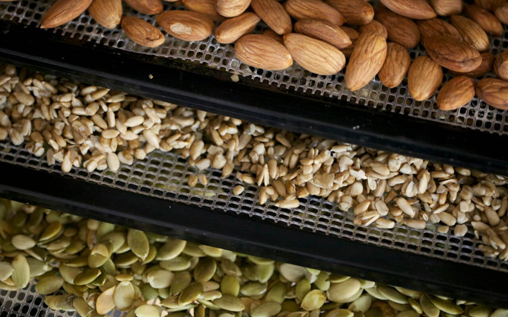 Сушка орехов и семечек в дегидраторе Орехи в дегидраторе