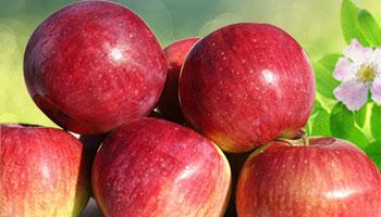 Орловское-полосатое