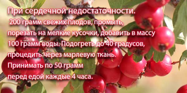 При болезни сердца