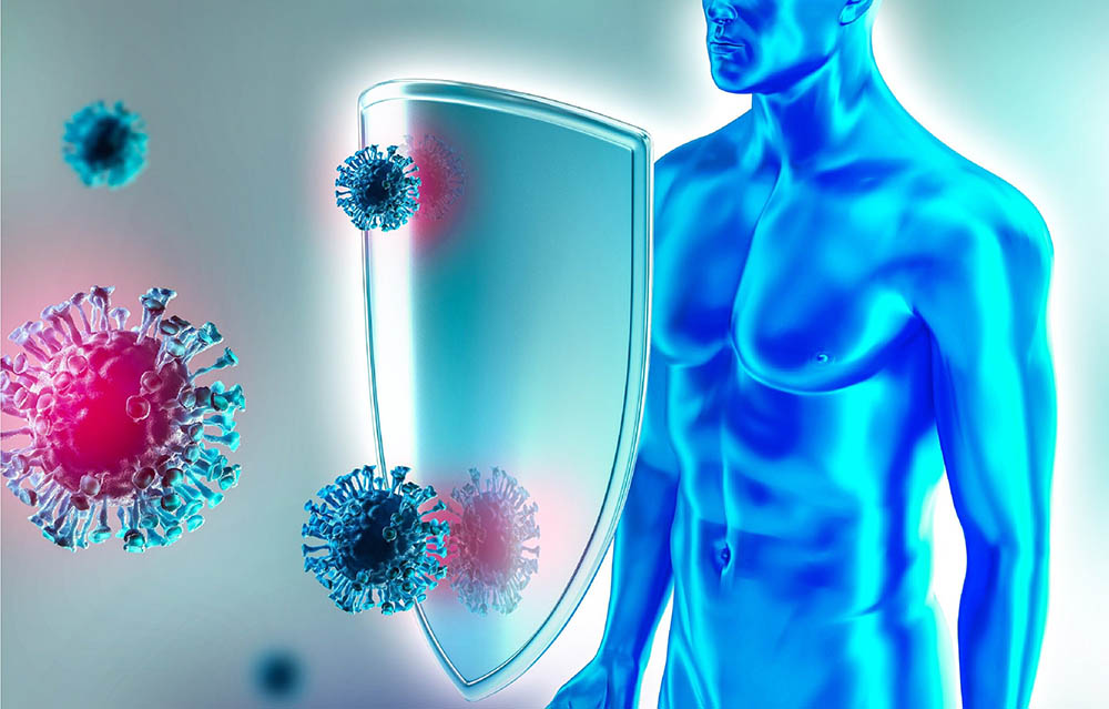 Польза папайи для иммунитета Папайя и иммунитет