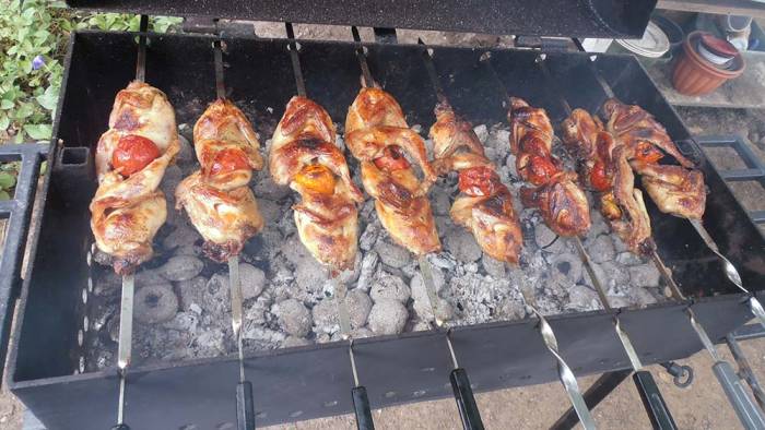 Приготовление шашлыка из перепелов с луком и помидорами Перепела с помидорами