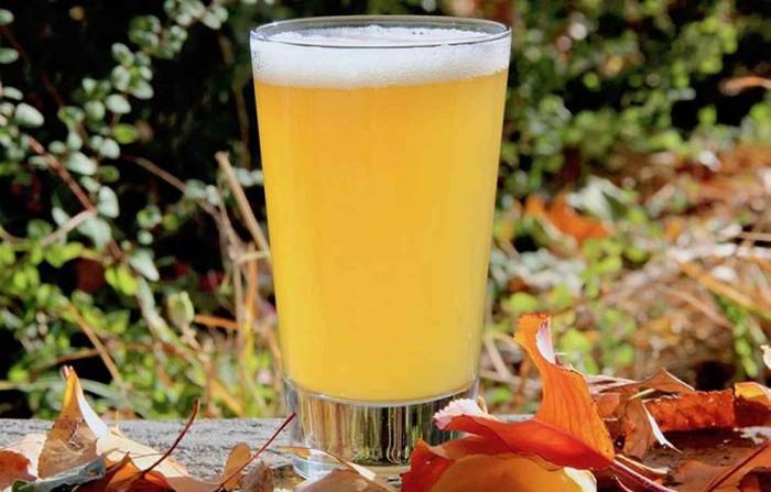 Нефильтрованное пиво для маринада Пиво для свинины со сметаной