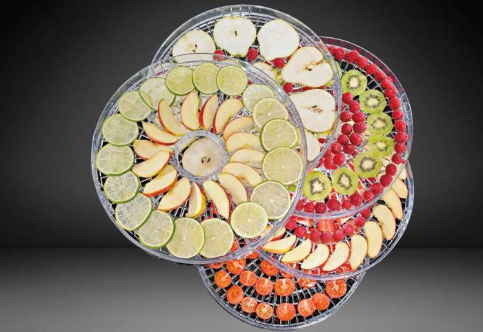 Вместительность лотков электрической сушилки Поддоны для сушилки