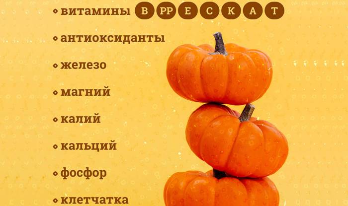 Какие полезные вещества есть в тыкве Полезный состав тыквы