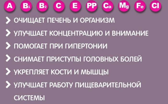 Состав и польза сушёного чернослива Польза сушёного чернослива