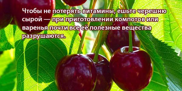 Польза-ягоды