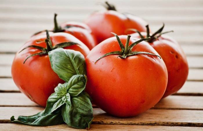 Спелые томаты и пучок базилика Помидоры и базилик