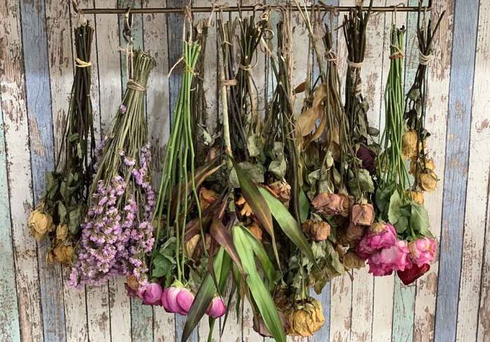 Сушка роз на свежем воздухе Розы на улице