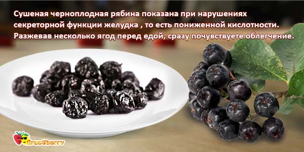 Рябина для желудка