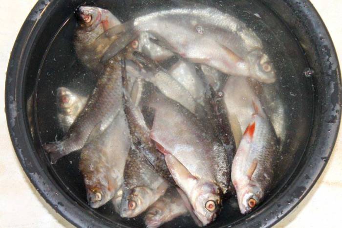 Вымачивание солёной рыбы Рыба в воде