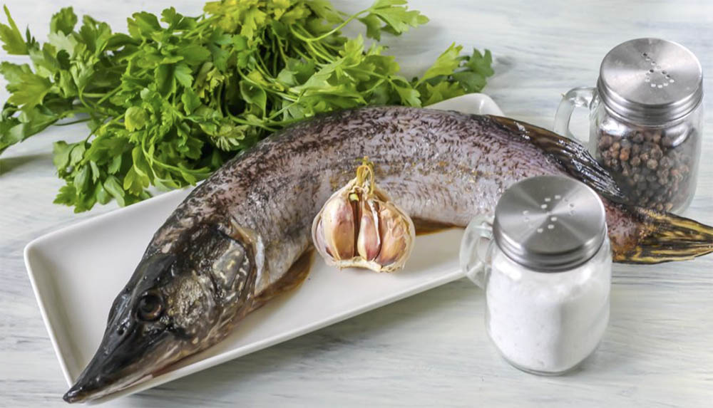Соль и специи для засолки щуки Щука и соль