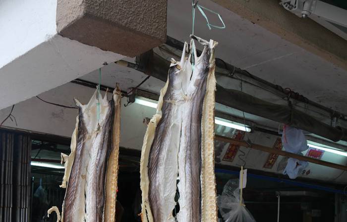 Сушка щуки естественным способом на улице Щука на улице