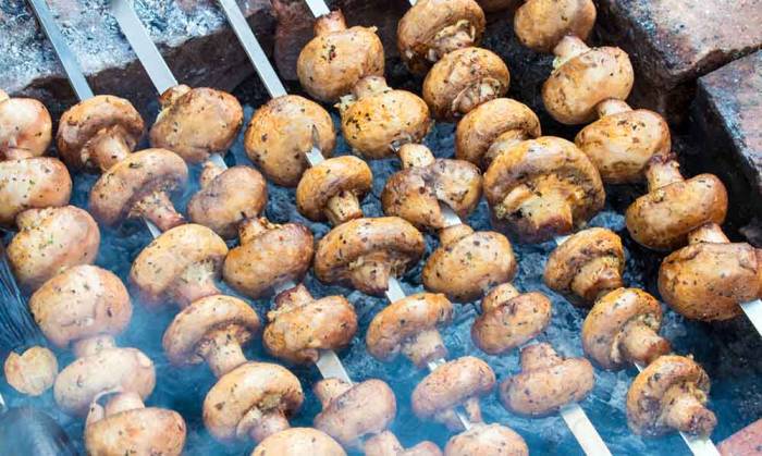 Приготовление шампиньонов на шампурах Шампиньоны на костре