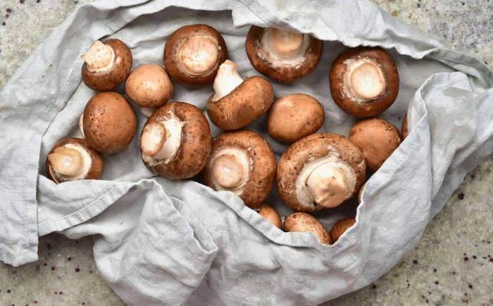 Обтирание шампиньонов мокрой тряпкой Шампиньоны в тряпке
