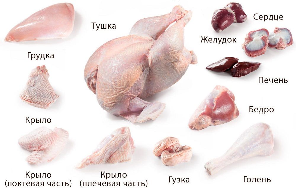 Части тушки индейки Схема разруба индейки