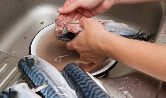 Промывание тушек скумбрии под проточной водой Скумбрия и вода