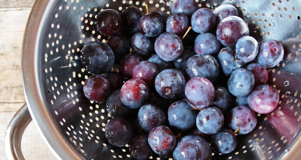 Промывание слив под холодной водой Сливы в дуршлаге