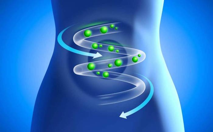 Нормализация работы ЖКТ Спаржа и ЖКТ