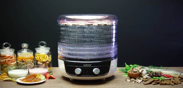 Конвективная сушилка Garlyn D-08 Сушилка Garlyn D-08