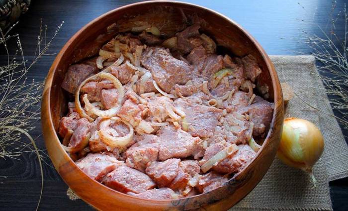 Свинина в маринаде из майонеза с луком Свинина, майонез и лук