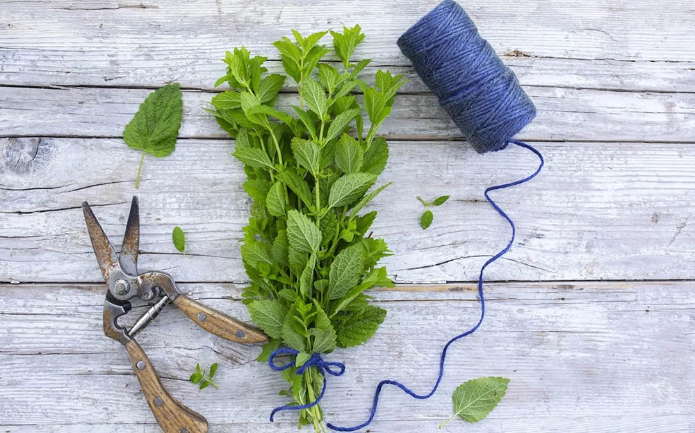 Формирование пучков из трав для сушки Травы и верёвка