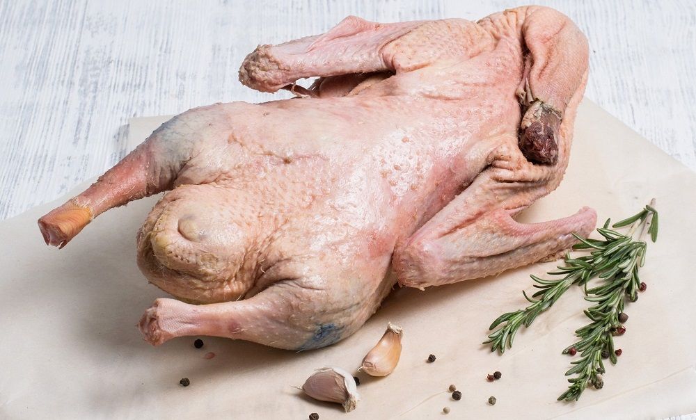 Свежая тушка гуся Тушка гуся