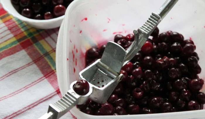 Извлечение косточек из вишни Вишня без косточек