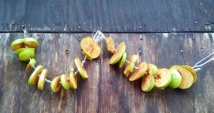 Сушка яблок на нитке Яблоки на нитке