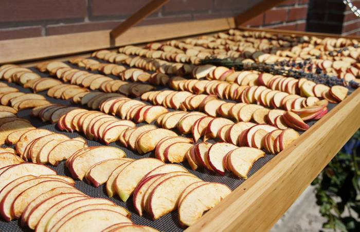 Сушка яблок на солнце Яблоки на улице