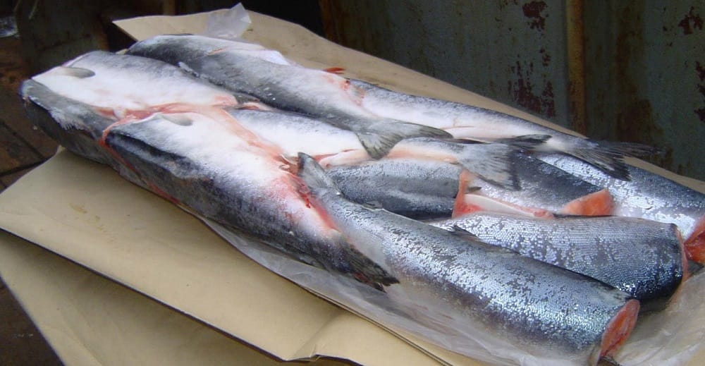 Замороженные тушки горбуши без головы Замороженная горбуша блоком