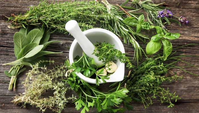 Травы для вяленых помидоров Зелень для помидоров