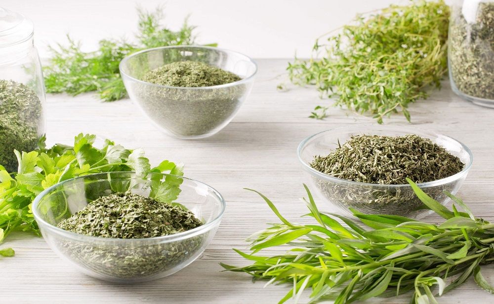 Свежая и сушеная зелень для рыбы Зелень для рыбы