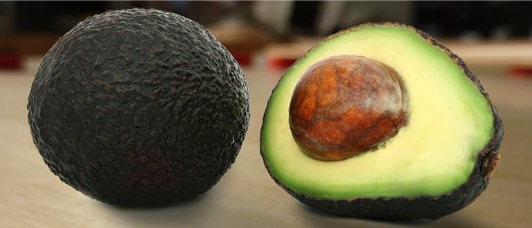 авокадо хаас сорт