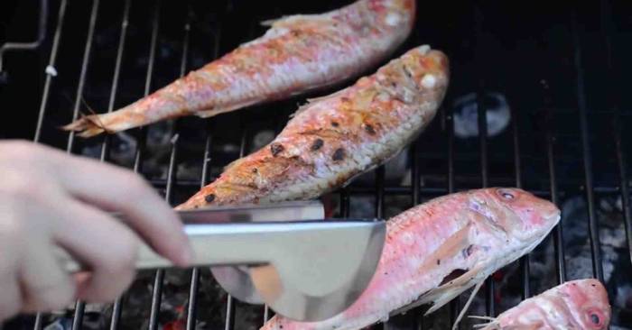 Копчение барабульки на гриле Барабулька на уличном гриле