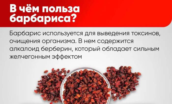 Польза сушёного барбариса Барбарис и польза