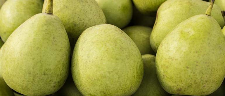 Бессемянка