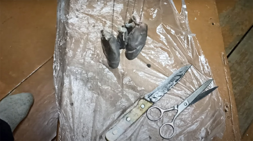 Подготовка бобровой струи к сушке Бобровая струя и верёвка