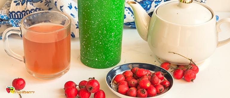 Боярышник в термосе