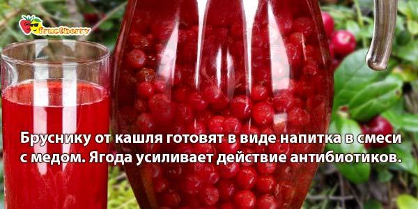 брусничный морс при простуде