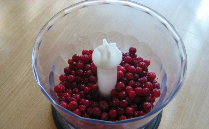 Измельчение брусники с помощью блендера Брусника и блендер