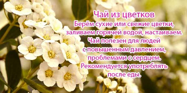 чай-с-цветами-боярки