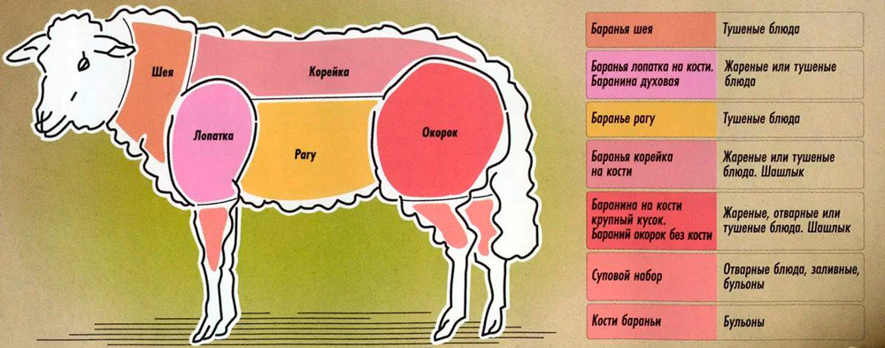 Части баранины в таблице для выбора способа приготовления блюд Части баранины