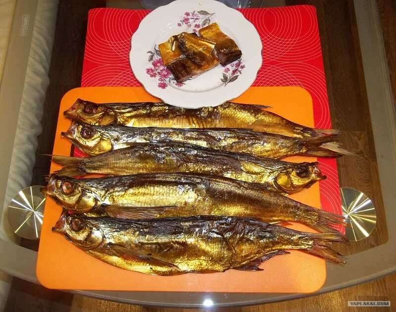 Копченая чехонь, приготовленная методом холодного копчения Чехонь, закопченная холодным способом